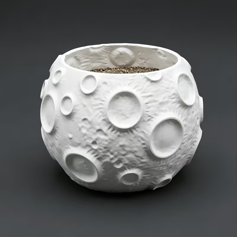 Mond-Pflanzentopf mit Mondober – Echeveria Succulent Bewertung und Preis