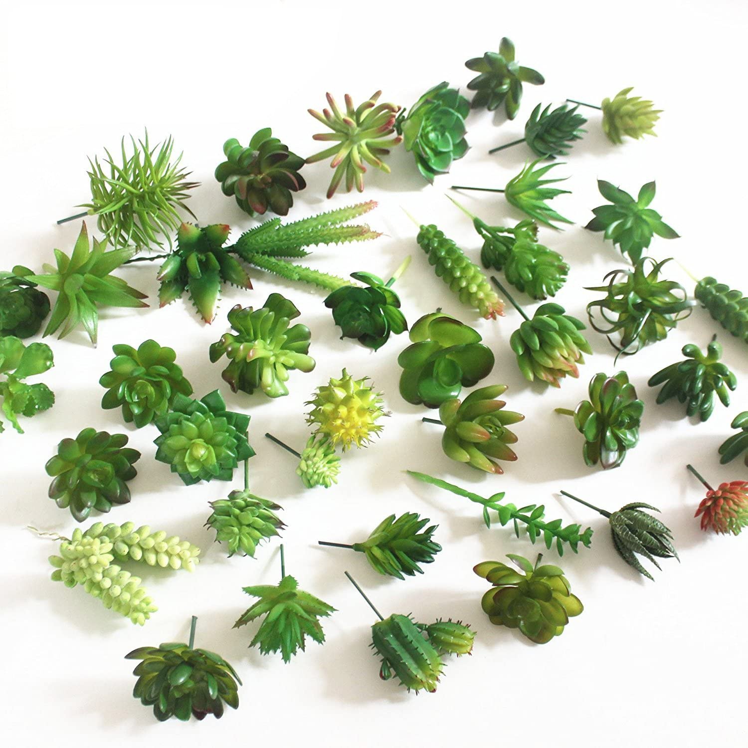 15 Stück künstliche Sukkulente – Echeveria Succulent Bewertung und Preis